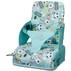 Nuby, Kindersitz, Kindersitz – Panda – 3-Punkt-Gurt – ab 6 Monaten – Blau (Kindersitz)