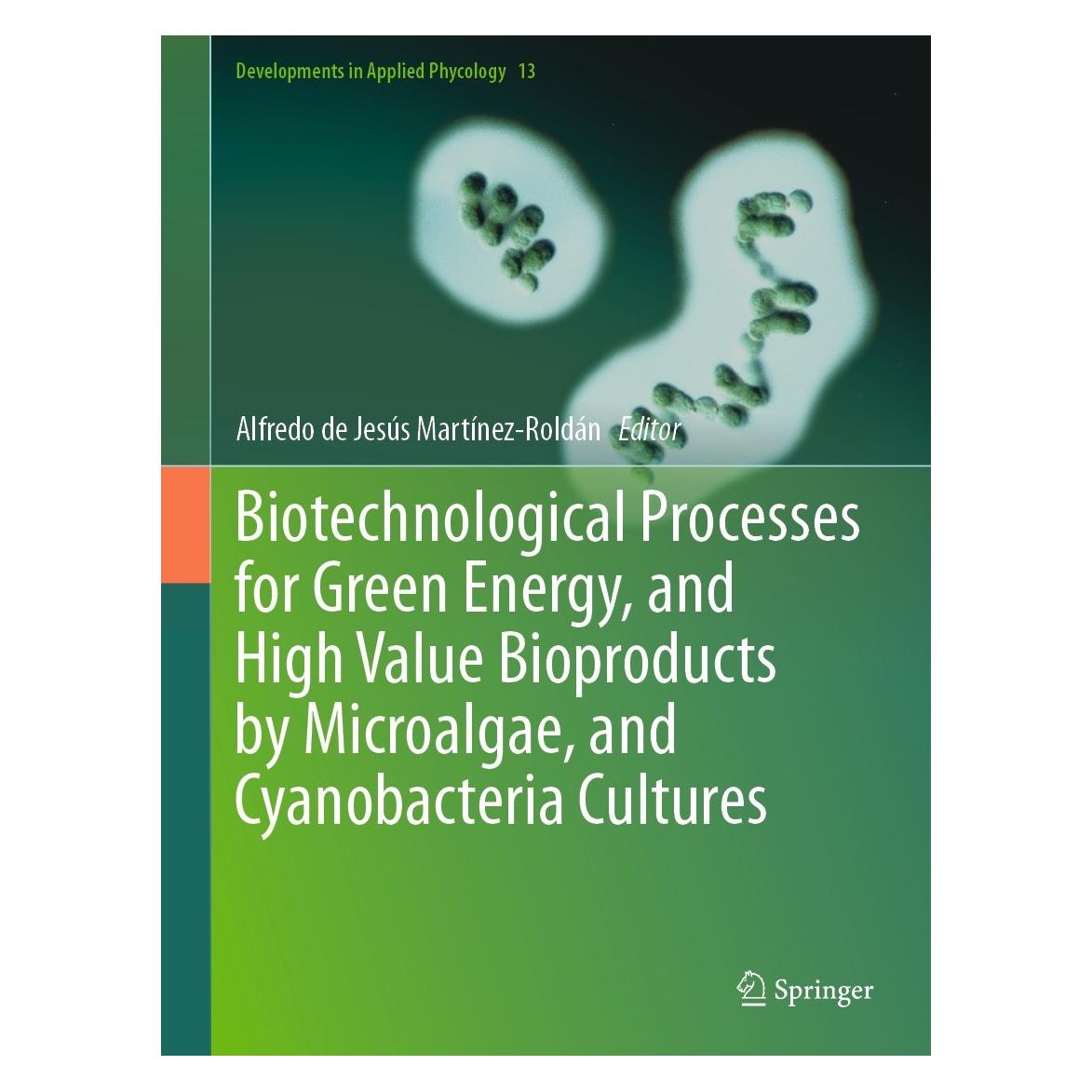 Springer Biotechnological Processes for Green En (Englisch, Hardcover, Alfredo de Jesús Martínez-Roldán) (9783031439681)