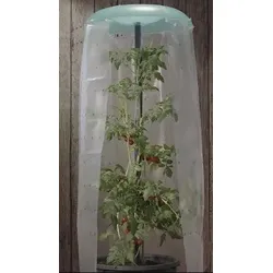 KHW KHW Tomatenhut 1er Set inklusiv Stab und Schutzfolie