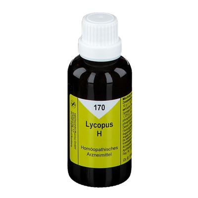 Lycopus H Nr.170 Tropfen 50 ml