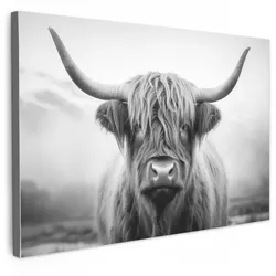 LEINWANDBILD Schottischer Highlander - Nebel - Schwarz - Weiß Groß 140x90 cm
