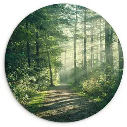 WANDBILD Wald - Weg - Sonne - Bäume - Grün - Natur Wanddeko Schlafzimmer 60x60 cm