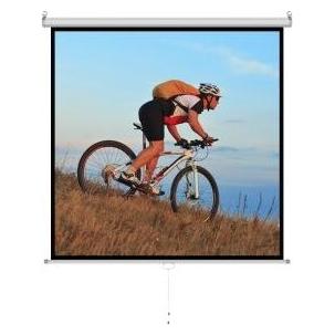 Art ER M84 1:1 manual display semi-a (118", 1:1) (34365929)