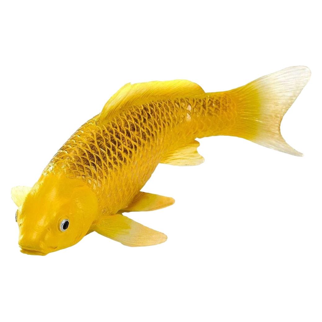 Q Mojo Mojo Koi-Kollektion - Kin Matsuba Koi Gold 381123 (MJ381123)