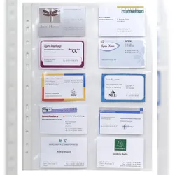 Exacompta 55046E 10x Packung mit 10 Stück Schutzhüllen gelocht aus glattem Qualitäts-PP 110μ, 10 Visitenkartenfächer, A4 - Kristall