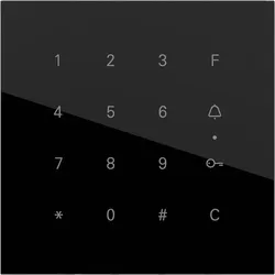 Gira 5550000 Gira Keyless In Codetastaturmodul System 106 G Schwarz