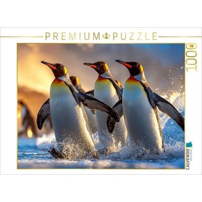CALVENDO Puzzle Im Watschelgang aus dem Meer | 1000 Teile Lege-Größe 64x48cm Foto-Puzzle für glückliche Stunden