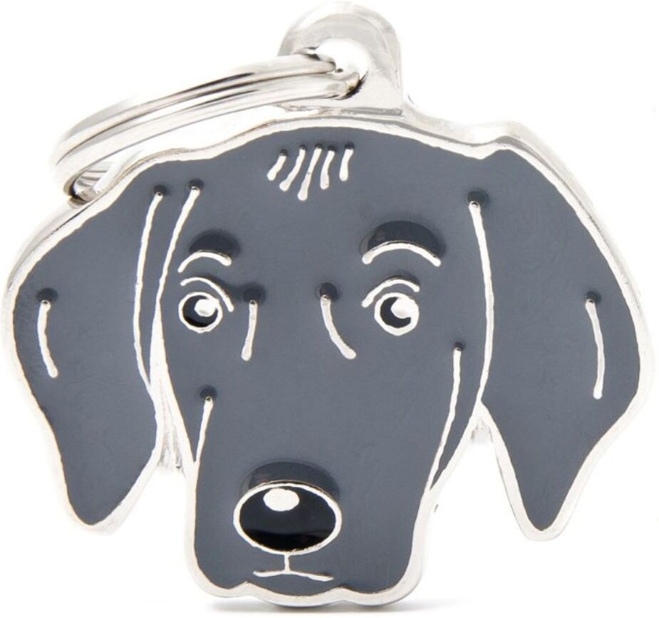MyFamily Medaglietta per Cani Personalizzabile Weimaraner Friends
