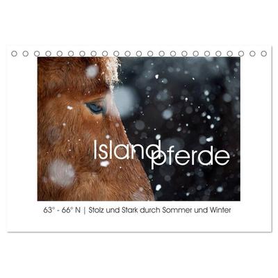 Islandpferde - Stolz und Stark durch Sommer und Winter (Tischkalender 2027 DIN A5 quer), CALVENDO Monatskalender