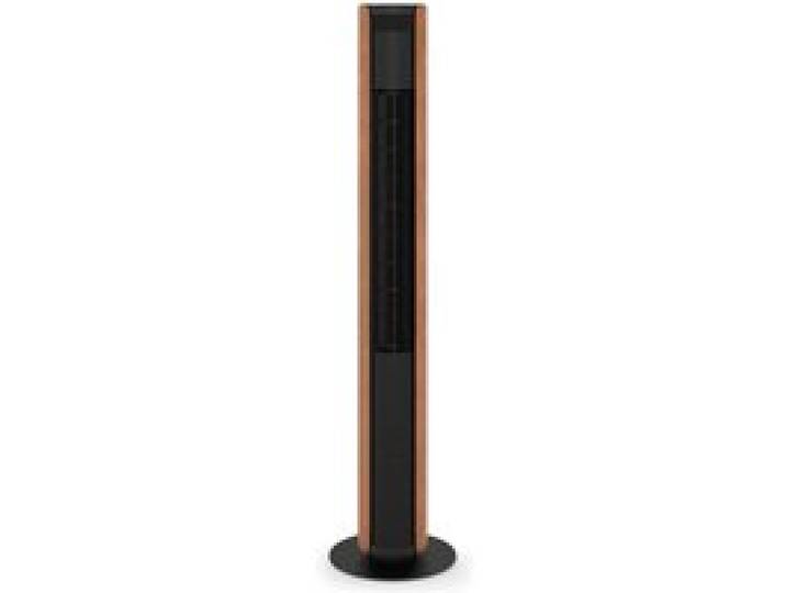 Ventilateur - STADLER FORM - Peter - Colonne - Télécommande - Oscillation