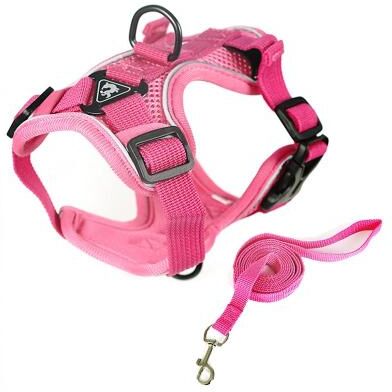 Inspired Deals Reflective Breathable Dog Cat Harness Set With Leash Adjustable No Pull Pet Vest XL pink