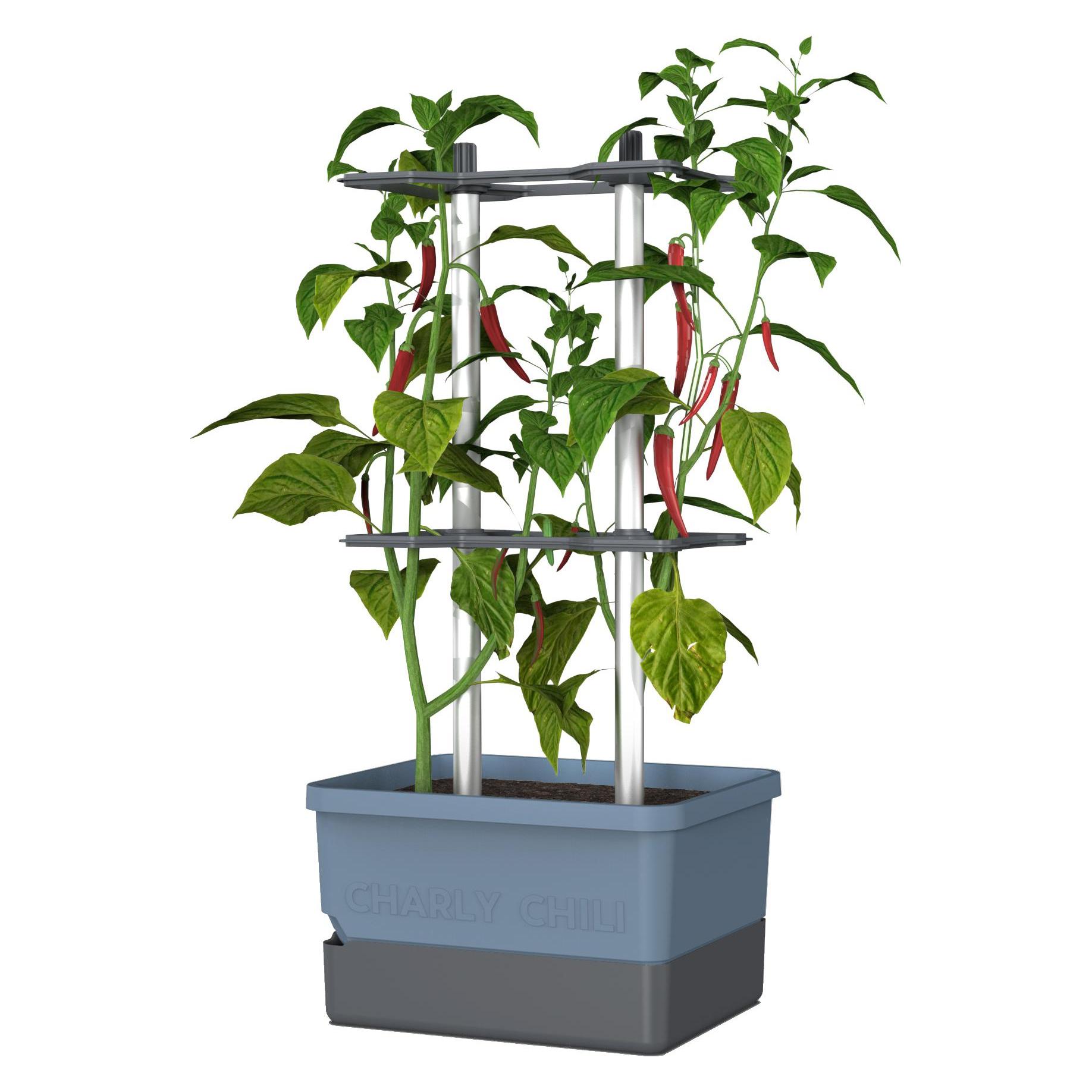Gusta Garden Charly Chili (34.50 x 27.50 x 68.70 cm) (104710)