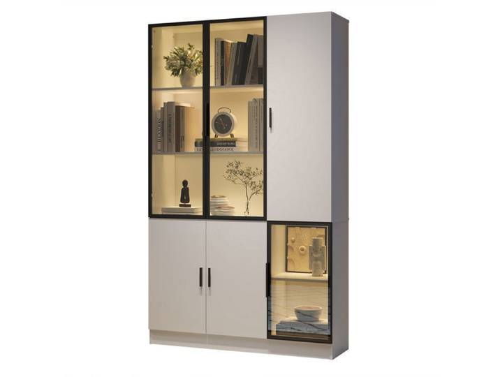 Vitrine en verre Vitrine avec éclairage LED bibliothèque multi-rangements pour collections cadre en aluminium 120 x 35 x 200 cm