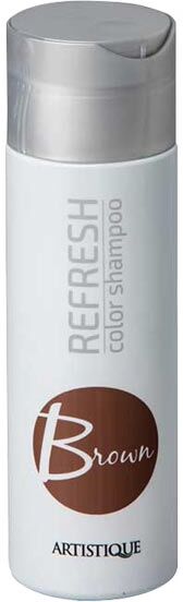 200ml Artistique Refresh Color Shampoo