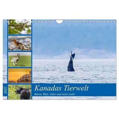 Kanadas Tierwelt - Bären, Wale und vieles mehr (Wandkalender 2027 DIN A4 quer), CALVENDO Monatskalender
