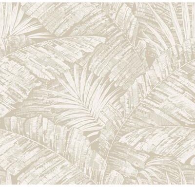 York Wallcoverings Palm Cove Toile White & Taupe Wallpaper