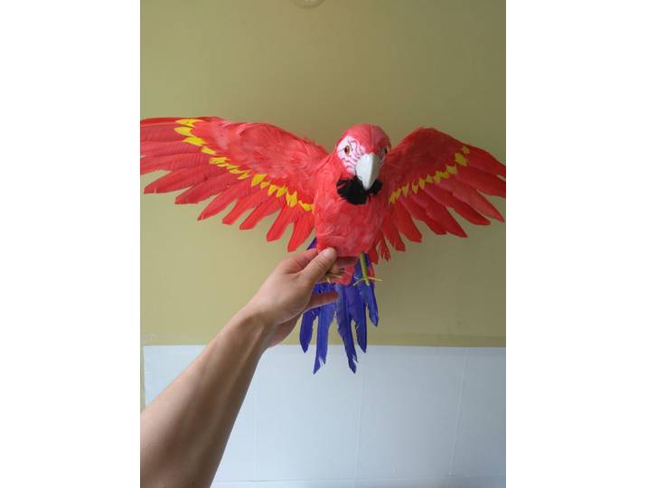 Grand modèle de perroquet à ailes d'épandage, artisanat de perroquet coloré en mousse et plumes, accessoire de fête, décoration de jardin de maison, cadeau 40x60cm d1210