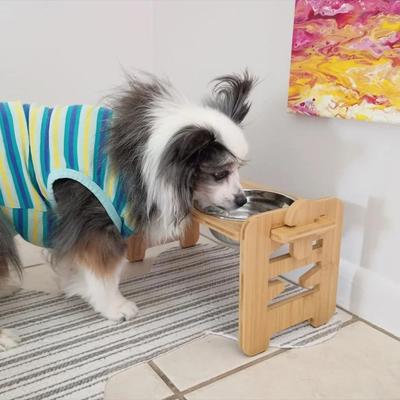 Uplift Essentials Professional Adjustable Wooden Raised Pet Feeding Station Professional Adjustable Wooden Raised Pet Feeding Station