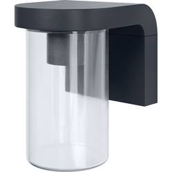 OSRAM HOMELIGHTING ENDURA Classic Cascade Wall E27 Clear 4099854461200 LED-Außenwandleuchte LED E27