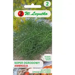 Garten-Dill Ambrosia
