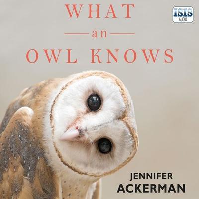 What an Owl Knows - Jennifer Ackerman, Audio, 9781399154543