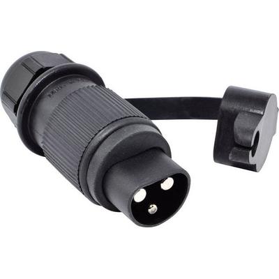 BAAS Startsystem BS20 Stecker