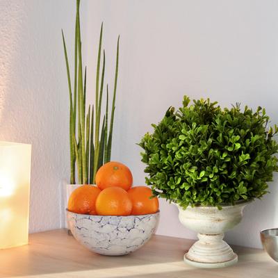 Regency International "Plastic Potted Spring Boxwood Ball In Urn 11"""