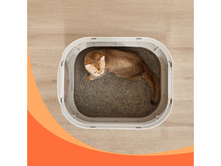Toilettes pour chat Emart 54 x 40 x 43cm