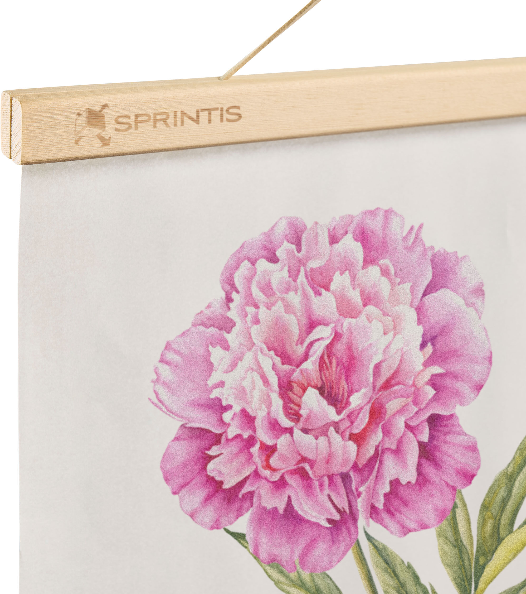SPRINTIS 1 Listelli per poster in legno con incisione 510 mm, legno di pino, marrone
