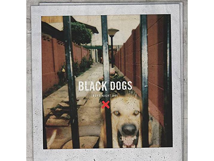 Black Dogs
