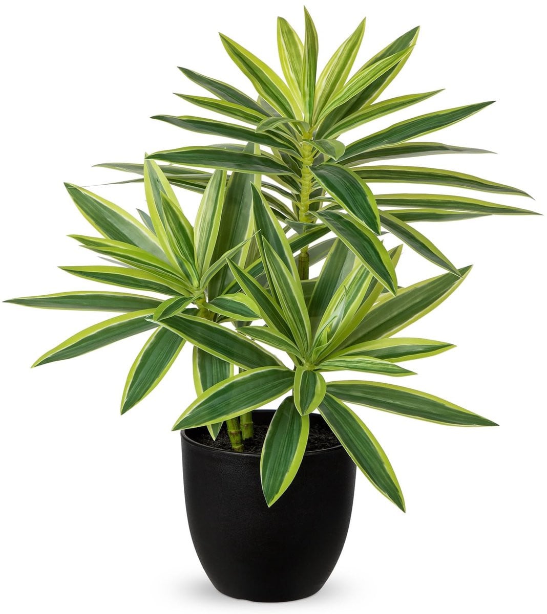 Dailygoods Oairse Kunstmatige Dracaena Plant met Zwarte Potten - 41 cm
