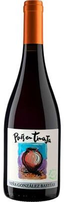 """Vina Gonzalez Bastias""" """Vina Gonzalez Bastias Tinaja 2022 Red Wine - Chile"""