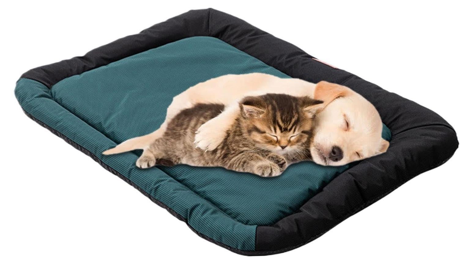Comfortabel hondenbed voor kennel en kennelkussen