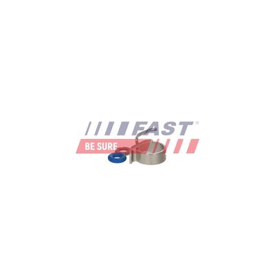 FAST Reparatursatz, Pumpe-Düse-Einheit ft01833 für Fiat