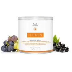 COLLAGEN GUTES für die Gelenke Pulver 300 g