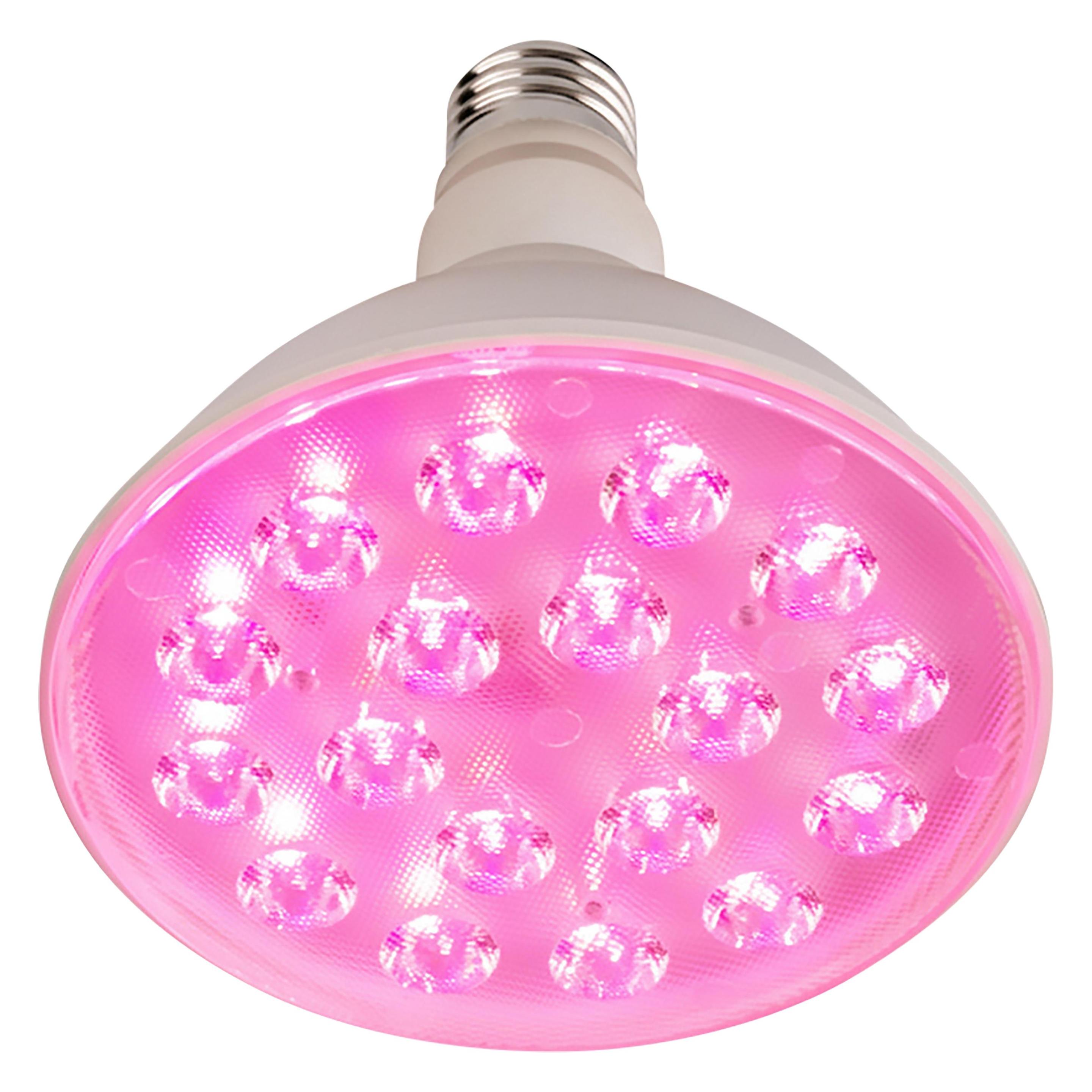 Luxula LED-Pflanzenlampe (LED, 220 - 240 V) (LX100250)