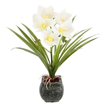 Kunstblume OTTO HOME "Orchidee", beige (creme), B:35cm H:40cm L:25cm, Polyester, Kunstpflanzen, Mit Blätter im Topf aus Zement Künstliche Blume Cymbidium-Orchidee