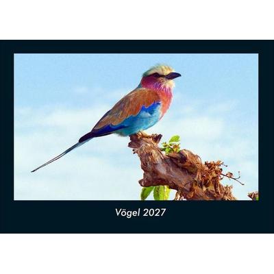 Vögel 2027 Fotokalender DIN A4