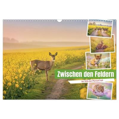 Zwischen den Feldern (Wandkalender 2027 DIN A3 quer), CALVENDO Monatskalender