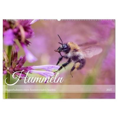Hummeln - Flugaufnahmen eines faszinierenden Insekts (Wandkalender 2027 DIN A2 quer), CALVENDO Monatskalender