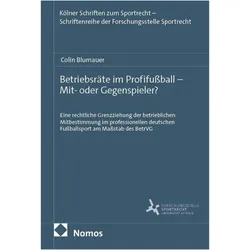 Betriebsräte im Profifussball - Mit- oder Gegenspieler?, Schulbücher von Colin Blumauer