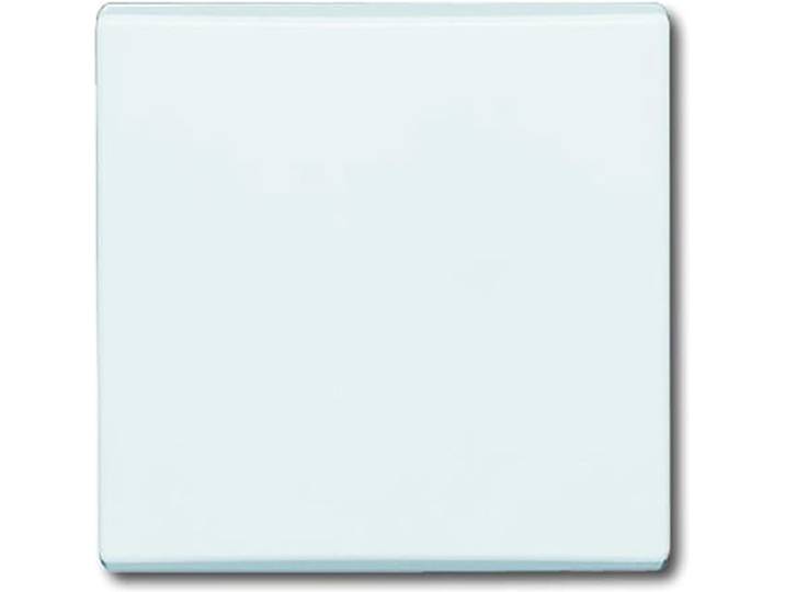 ABB Busch-Jaeger Schakelelement/Centrale Plaat voor Alle weersomstandigheden IP44 - 2CKA001731A1593 - E2AD9