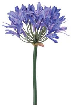 Melrose International Agapanthus Flower Stem (Set of 2)