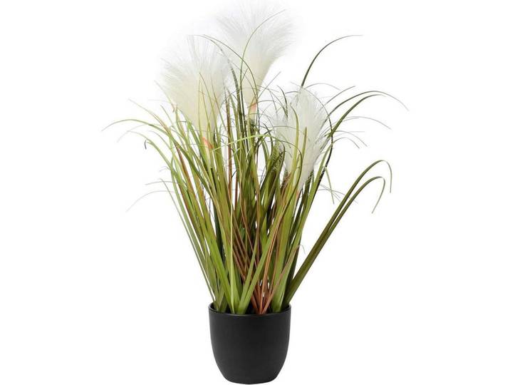 Kunstpflanze Pampasgras im Topf Beige, Mehrfarbig, Kunststoff, 43.9 cm, Dekoration, Blumen & Blumentöpfe, Kunstpflanzen