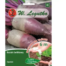 Rote Beete Opolski – zylindrisch
