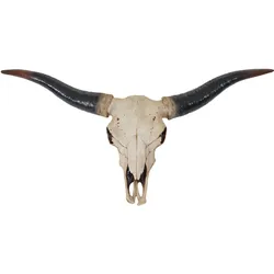 Deko Schädel 75cm HWC-A14, Polyresin Stier Bulle Longhorn Kopf Trophäe, In-/Outdoor natur
