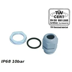 PG11 Kabelverschraubung 5-11mm IP68 10bar Grau PROFI E-P 34.11