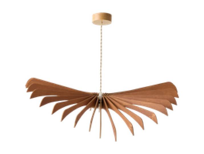 Suspension Aigle