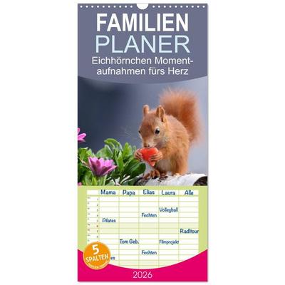Familienplaner 2026 - Eichhörnchen Momentaufnahmen fürs Herz mit 5 Spalten (Wandkalender, 21 x 45 cm) CALVENDO