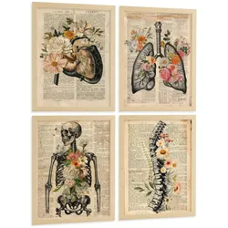 POSTER Set aus 4 Anatomie Drucke und Wandbilder mit Leber Lungen Atmungssystem Skelett Schädel Wirbelsäule Vintage Zeitungsstil Größe Rahmenlos A4
